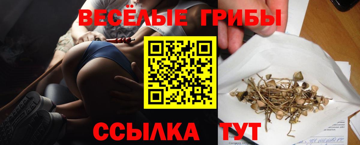 Псилоцибиновые грибы Psilocybine cubensis Янаул
